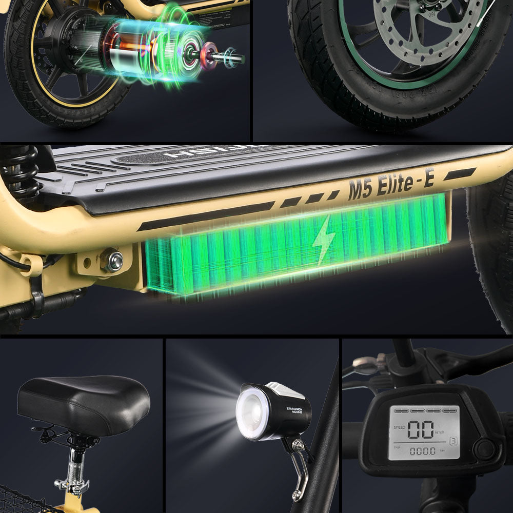 TWOFISH M5 Elite Ebike (EEC)