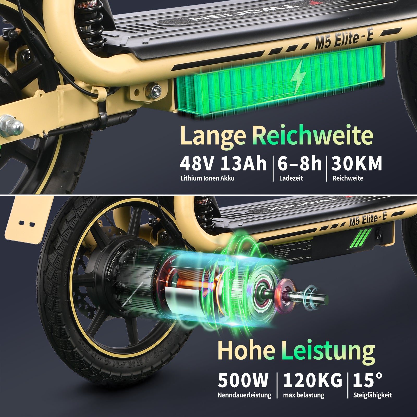 TWOFISH M5 Elite Ebike (EEC)