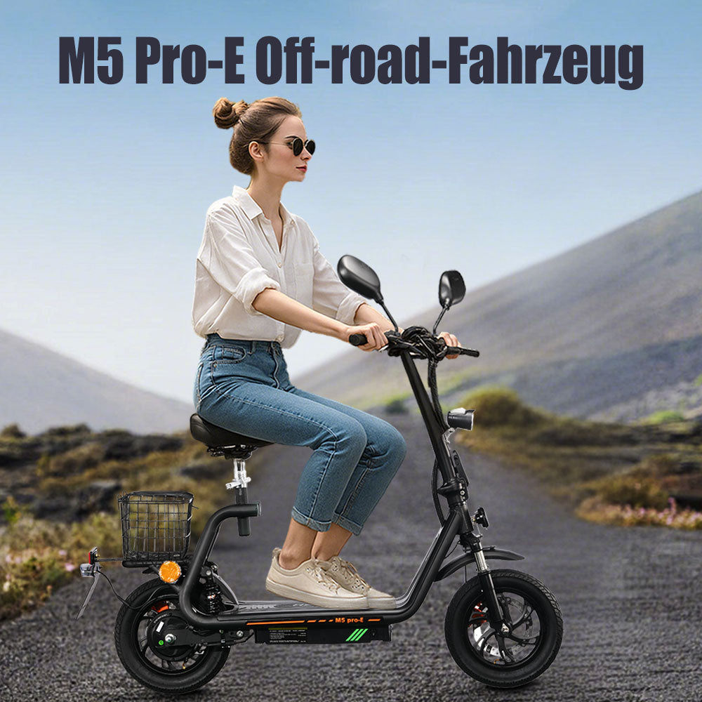 TWOFISH M5 Pro Ebike (EEC)